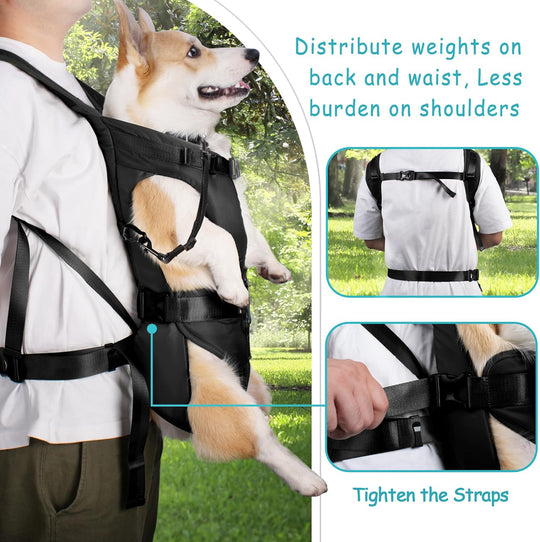 Pet Front Dog Carrier Backpacks