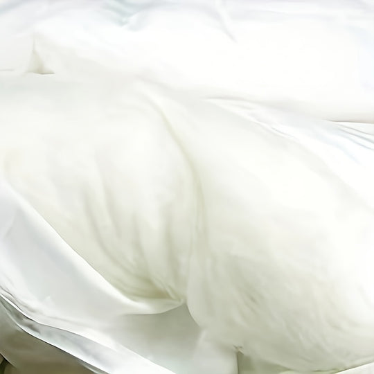 MOON'S SLEEPWARES Anti Allergy Silk Duvet